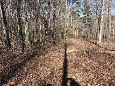 0 Dykes Hollow Road Jasper TN 37347