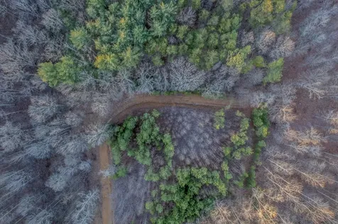 0 Dykes Hollow Road Jasper TN 37347