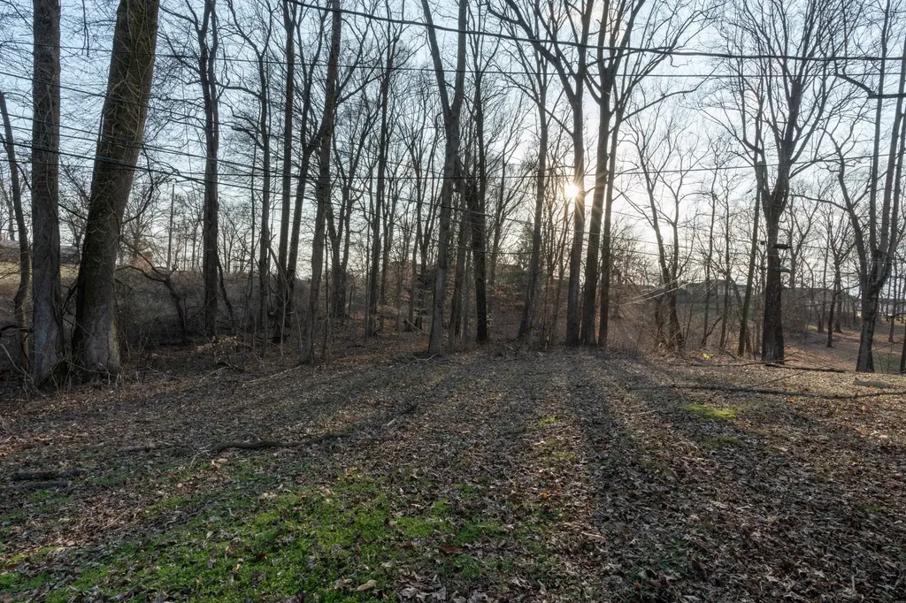26 Chestnut Drive Clarksville TN 37042