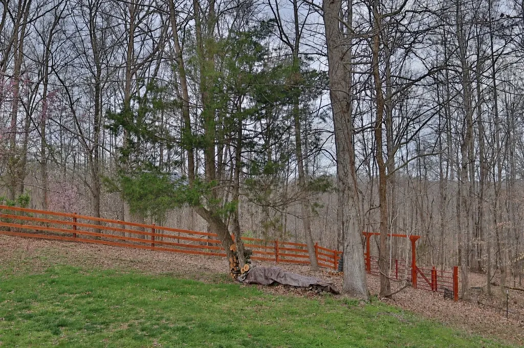 1660 Leatherwood Road White Bluff TN 37187