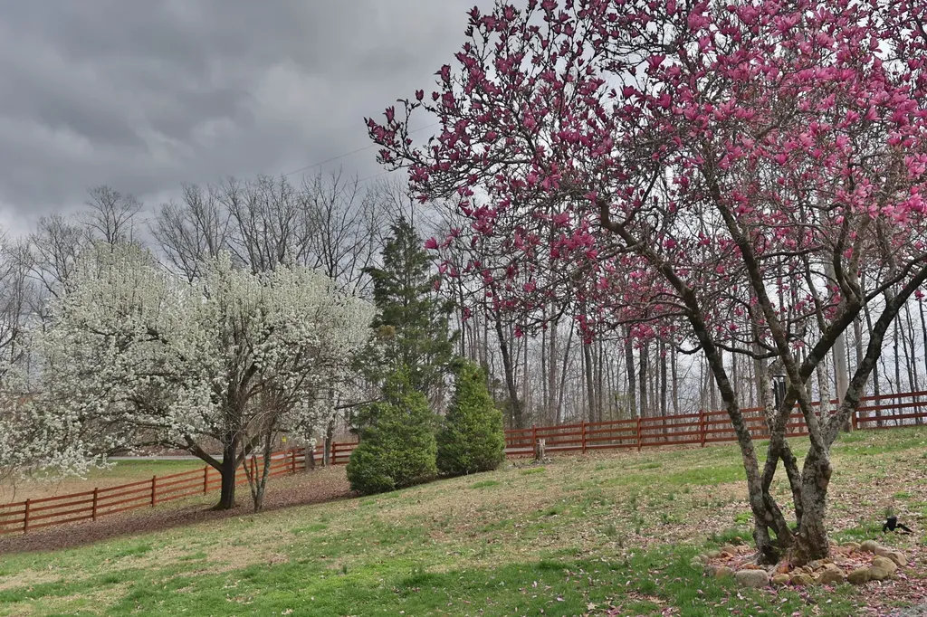 1660 Leatherwood Road White Bluff TN 37187