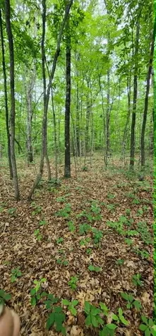 0 Rogers Road Crossville TN 38572