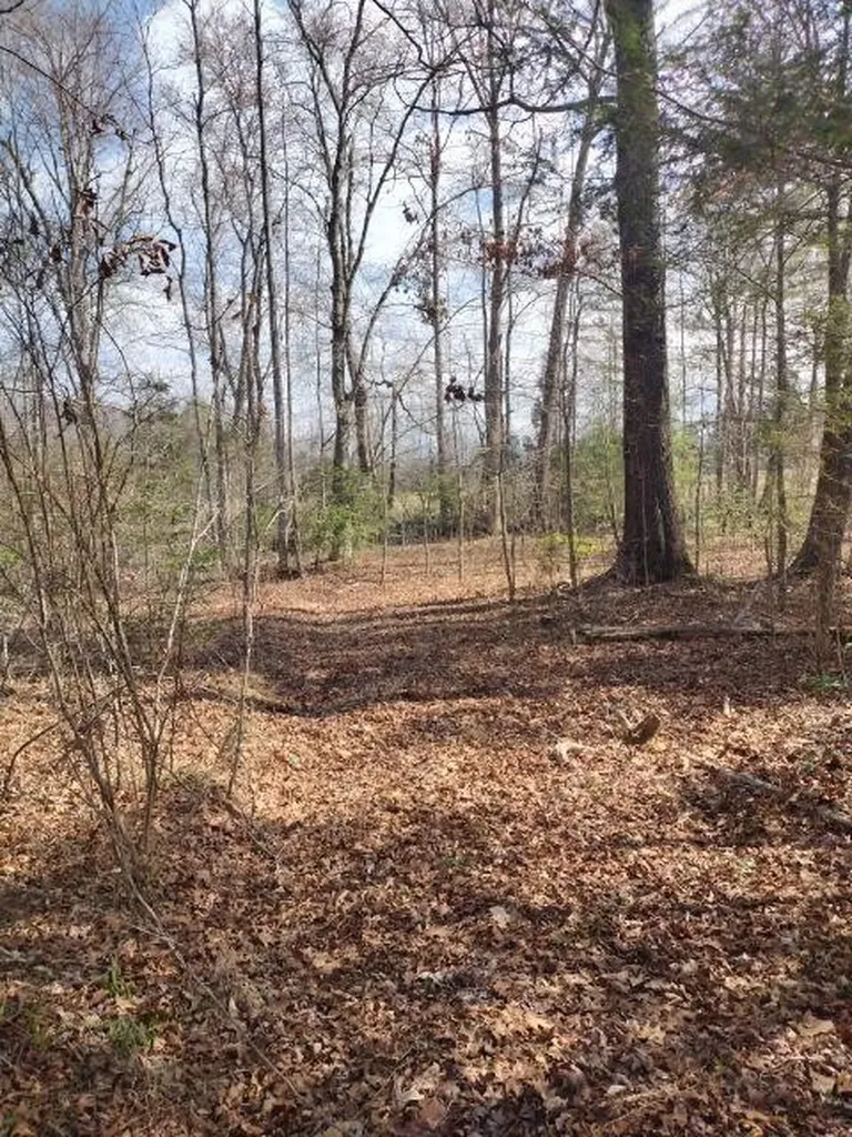 465 Huse Watson Road Oakdale TN 37829