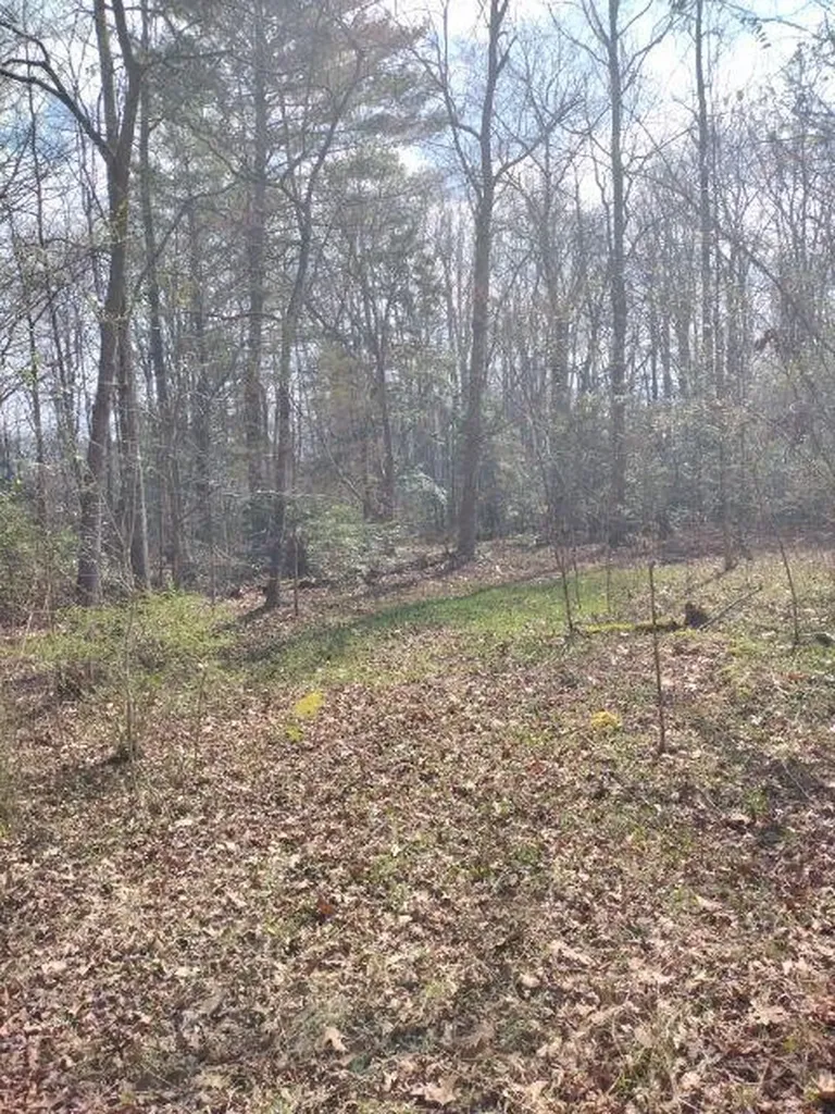 465 Huse Watson Road Oakdale TN 37829