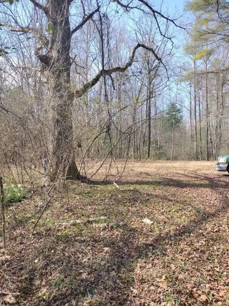 465 Huse Watson Road Oakdale TN 37829