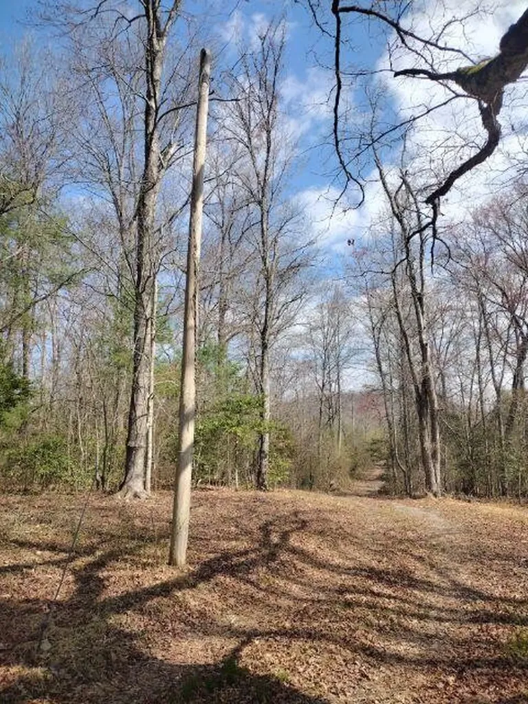 465 Huse Watson Road Oakdale TN 37829