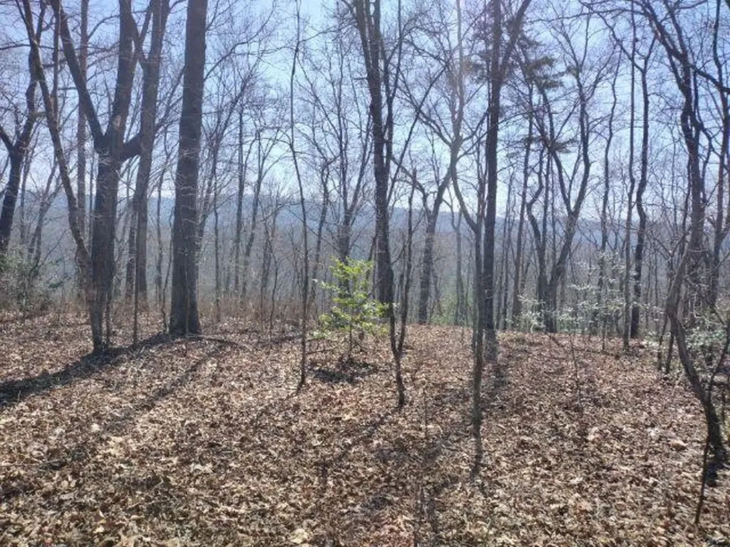 465 Huse Watson Road Oakdale TN 37829