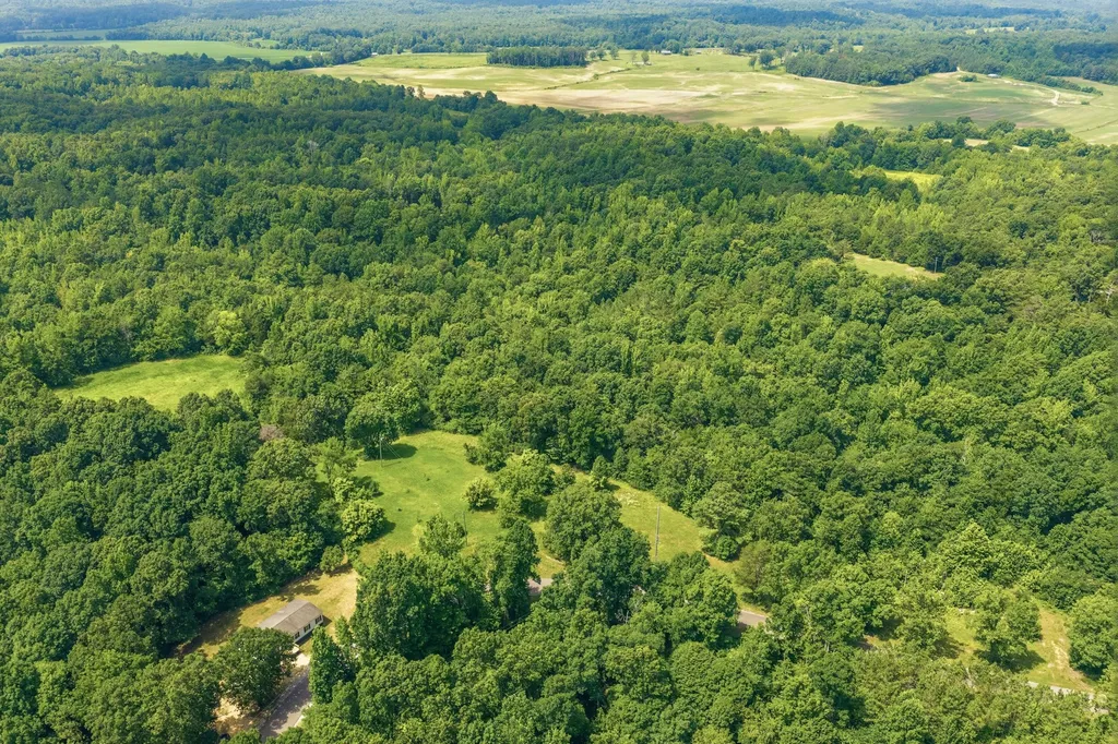 2625 Horny Head Creek Road Parsons TN 38363