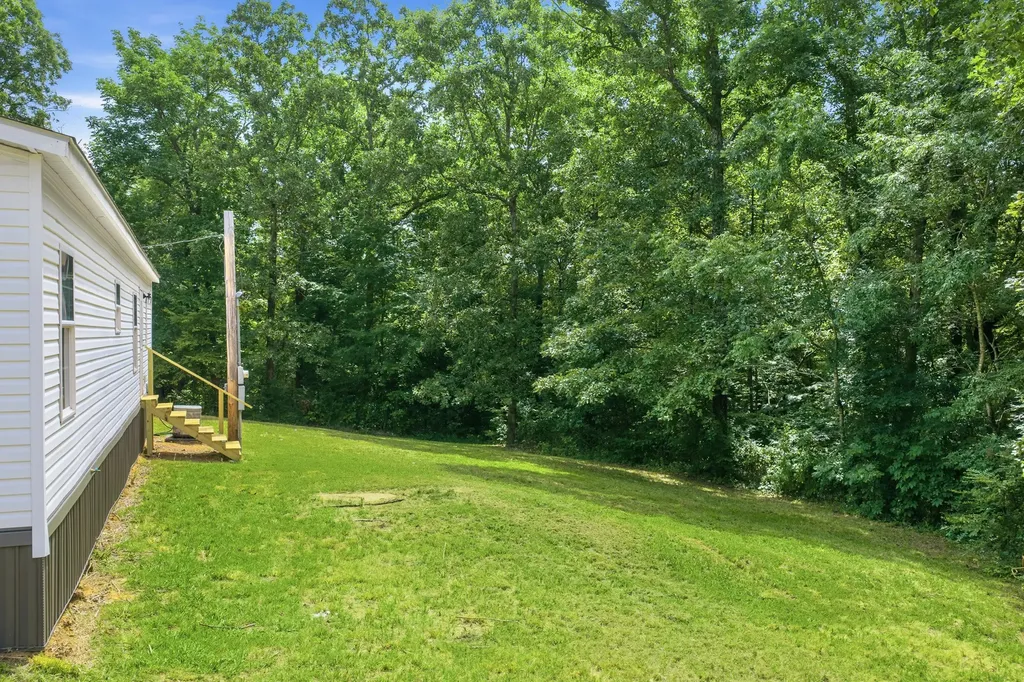 2625 Horny Head Creek Road Parsons TN 38363