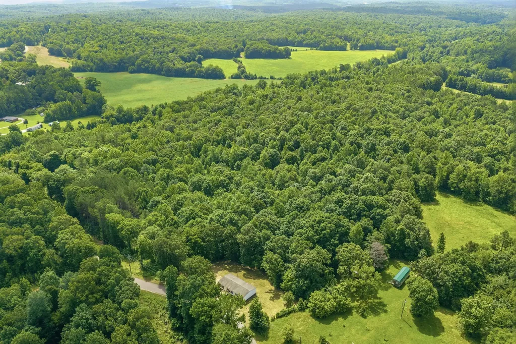2625 Horny Head Creek Road Parsons TN 38363