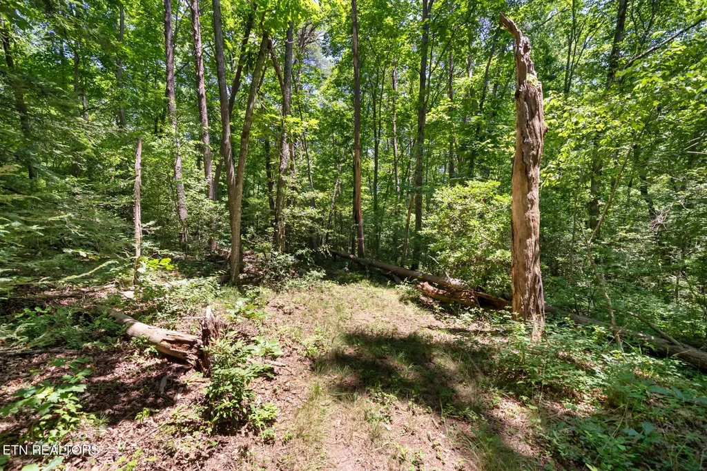 111 Seminole Circle Crossville TN 38572