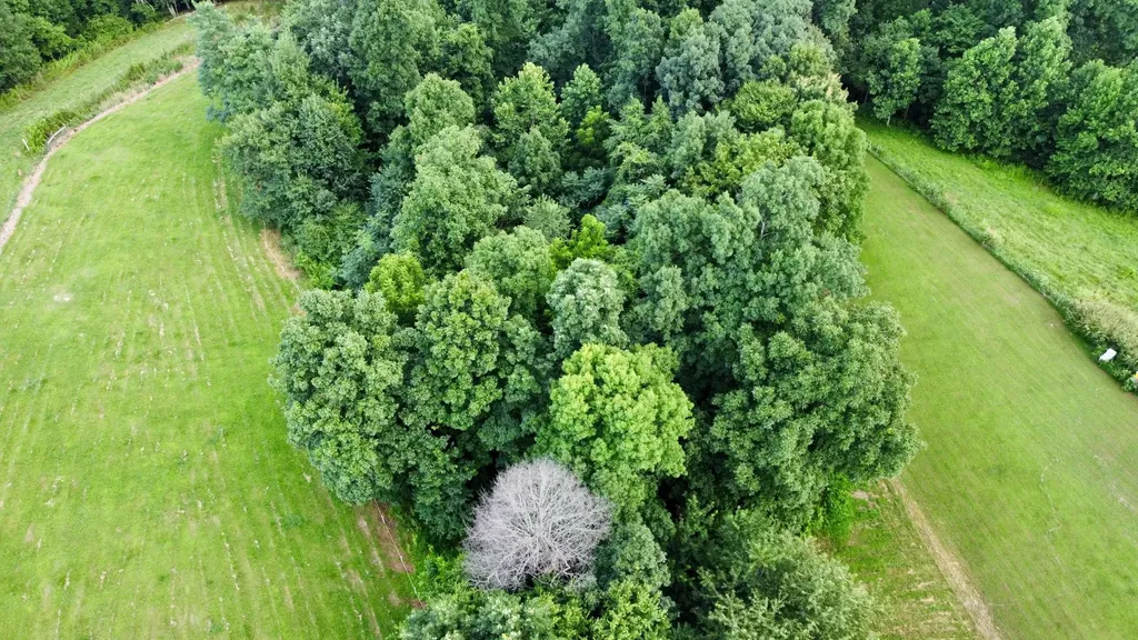 354 Dyer Ridge Road Baxter TN 38544