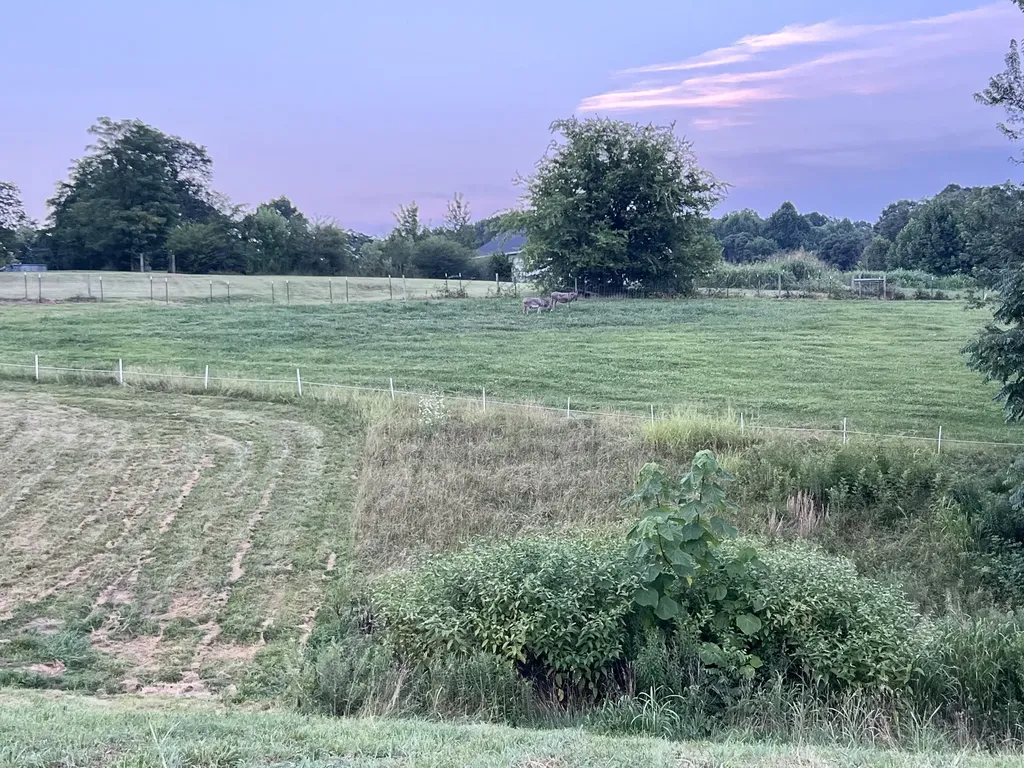 354 Dyer Ridge Road Baxter TN 38544