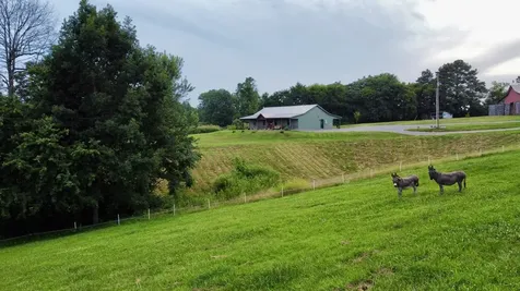 354 Dyer Ridge Road Baxter TN 38544