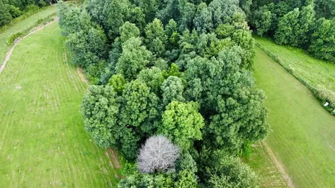 354 Dyer Ridge Road Baxter TN 38544