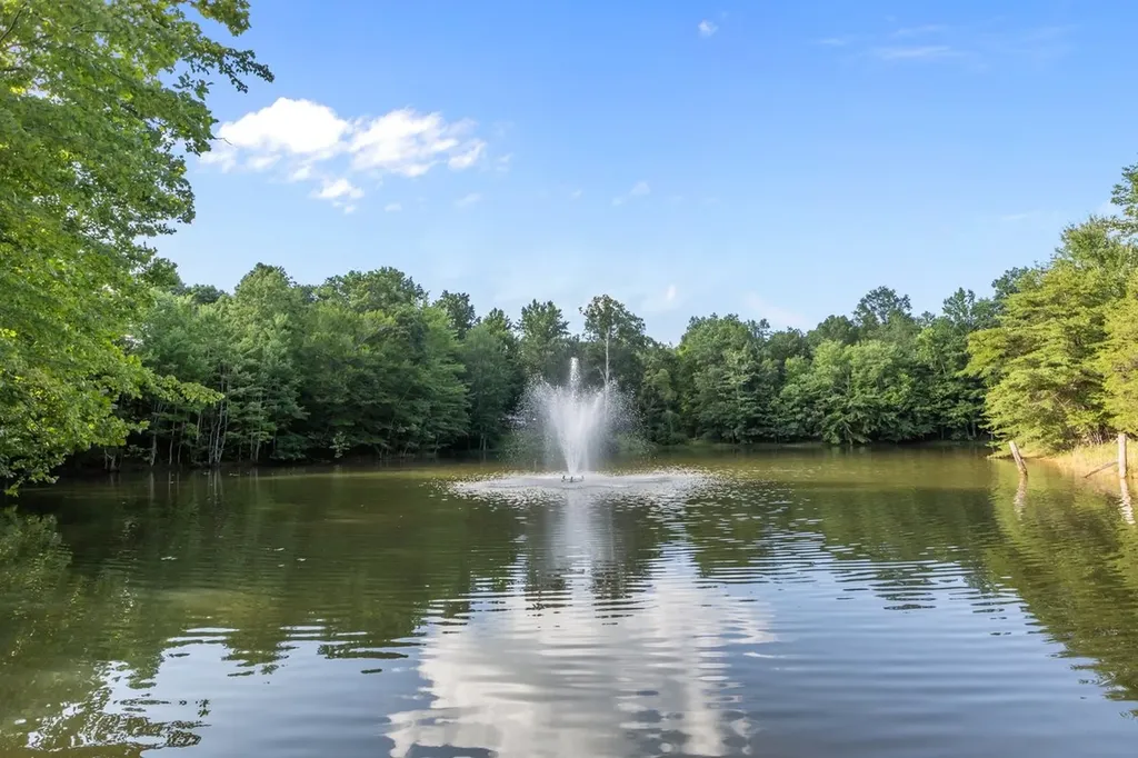1172 Promise Land Road Charlotte TN 37036