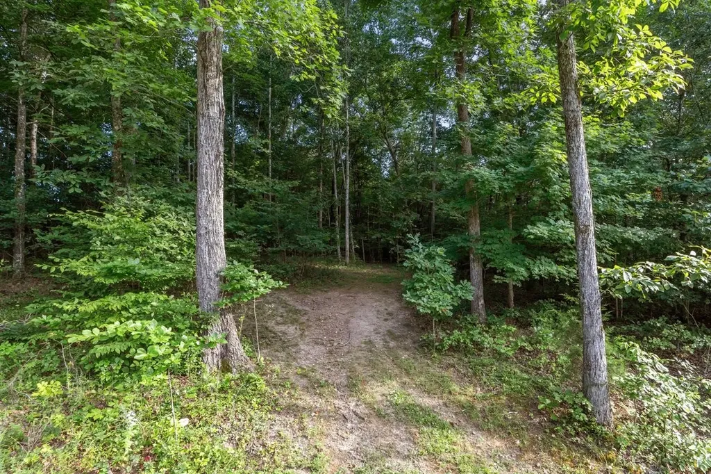 1172 Promise Land Road Charlotte TN 37036