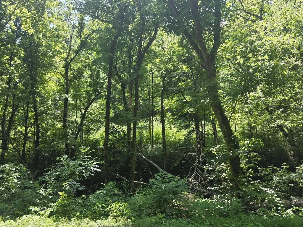 0 Difficult Lane Pleasant Shade TN 37145