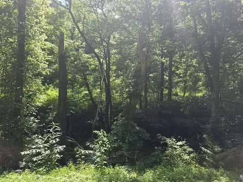 0 Difficult Lane Pleasant Shade TN 37145