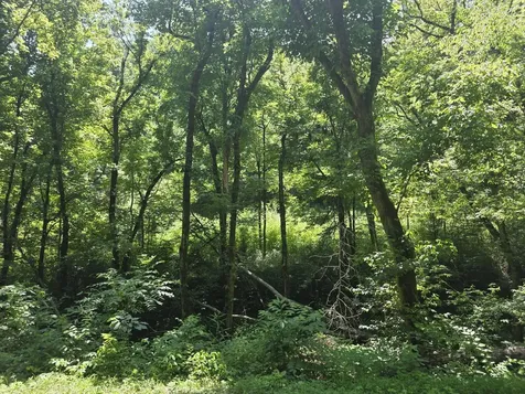 0 Difficult Lane Pleasant Shade TN 37145