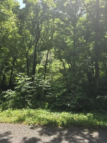 0 Difficult Lane Pleasant Shade TN 37145