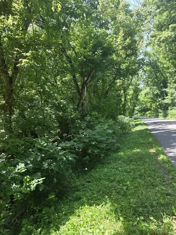0 Difficult Lane Pleasant Shade TN 37145
