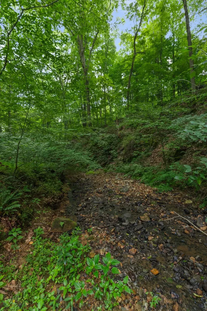 4993 Old Clarksville Pike Ashland City TN 37015