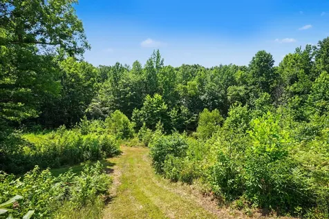 168 Blue Bird Road Summertown TN 38483
