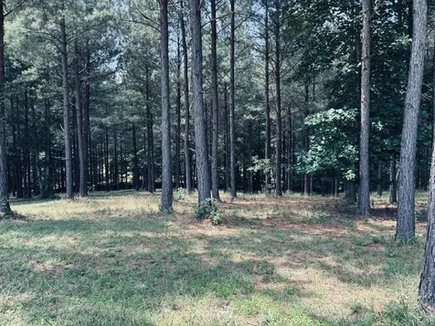 1711 Raulston Falls Road Jasper TN 37347