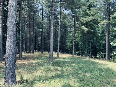 1711 Raulston Falls Road Jasper TN 37347