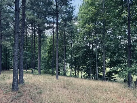 1711 Raulston Falls Road Jasper TN 37347