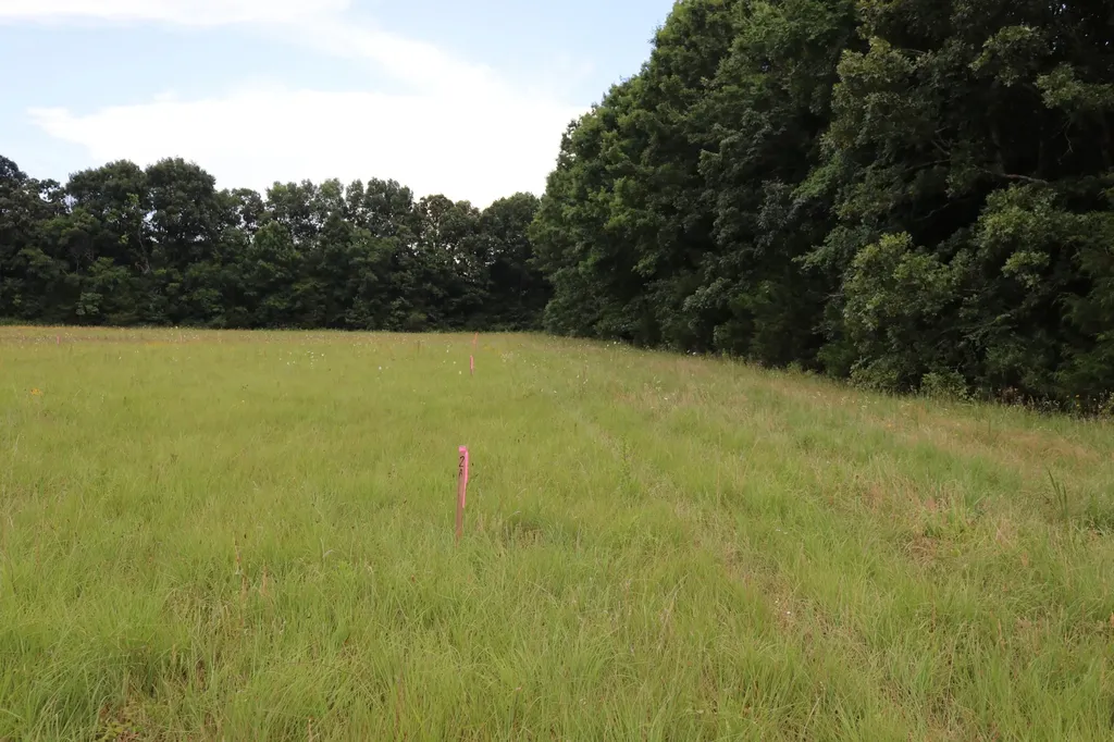 0 Laws Hill Road Lewisburg TN 37091
