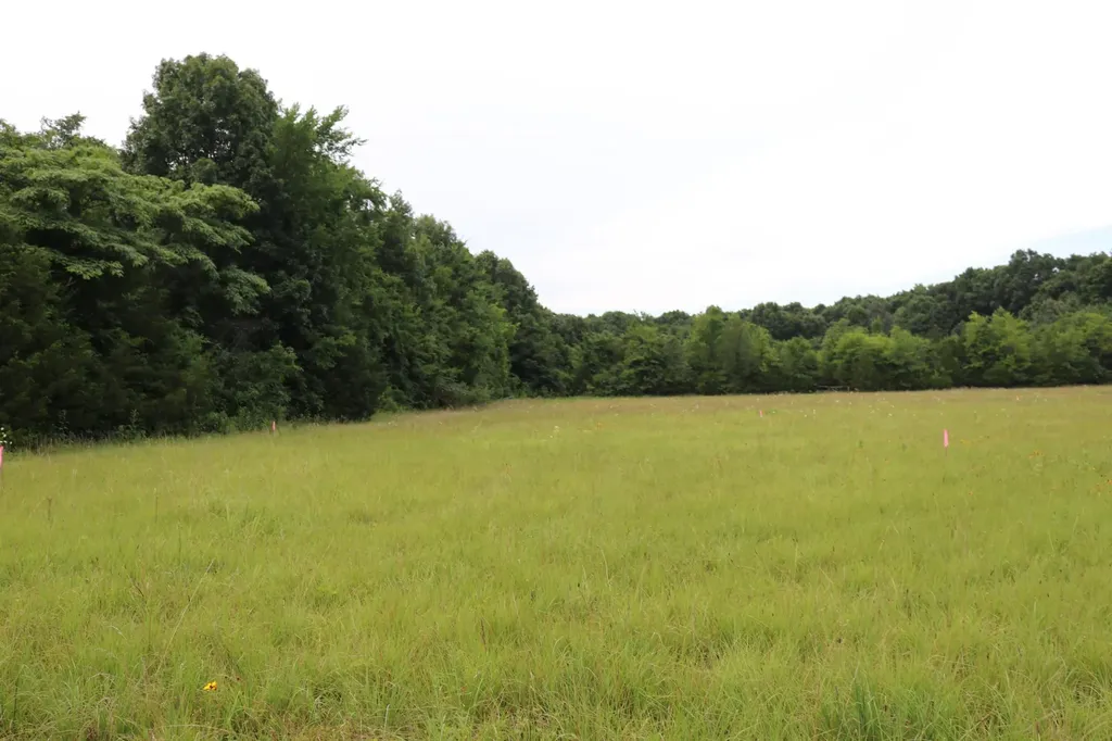 0 Laws Hill Road Lewisburg TN 37091
