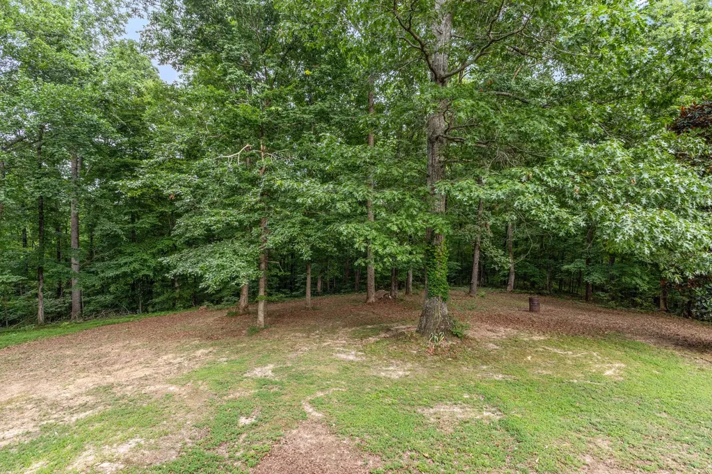 1416 Valley View Road Ashland City TN 37015