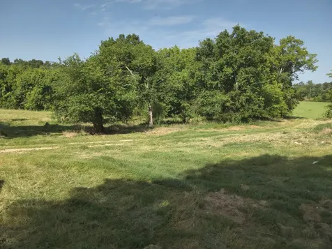 0 Culps Bend Road Clifton TN 38425