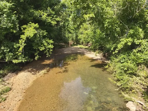 0 Culps Bend Road Clifton TN 38425