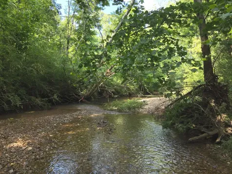 0 Culps Bend Road Clifton TN 38425