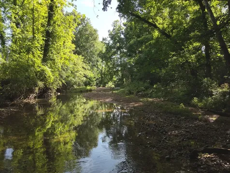 0 Culps Bend Road Clifton TN 38425