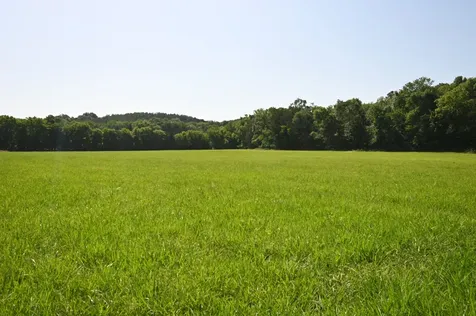 0 Culps Bend Road Clifton TN 38425