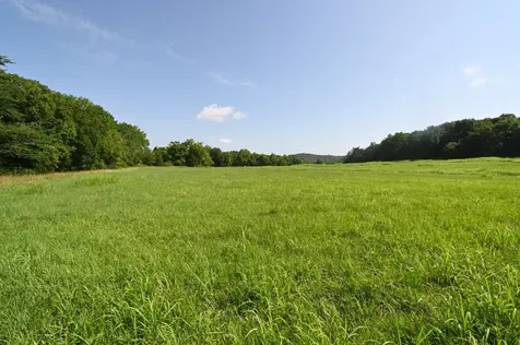 0 Culps Bend Road Clifton TN 38425