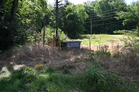 0 Culps Bend Road Clifton TN 38425