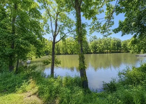 384 Duck Blind Road Clifton TN 38425