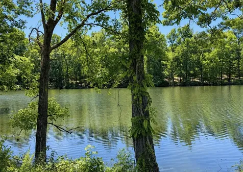 384 Duck Blind Road Clifton TN 38425