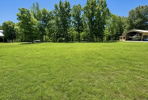 384 Duck Blind Road Clifton TN 38425