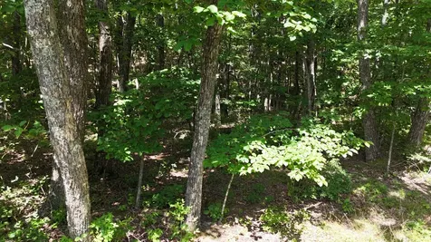 0 Brow Road Monteagle TN 37356