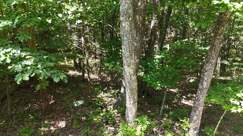 0 Brow Road Monteagle TN 37356