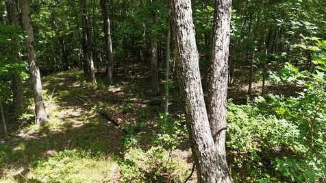 0 Brow Road Monteagle TN 37356