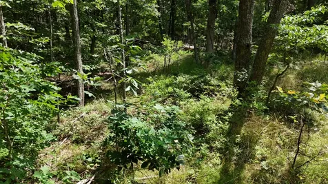 0 Brow Road Monteagle TN 37356