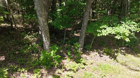 0 Brow Road Monteagle TN 37356