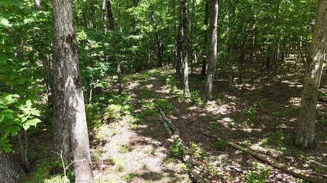 0 Brow Road Monteagle TN 37356